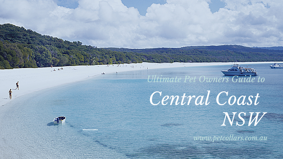 Pet Owners Travel Guide to the Central Coast of NSW