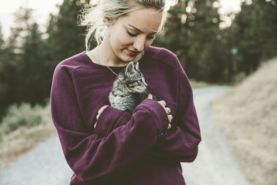 What Should I Buy Before Adopting a Cat in Australia?