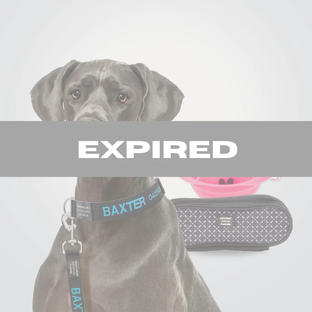 Save 25% on Walking Super Bundles