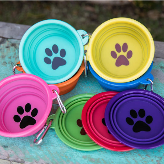 collapsible pet bowl