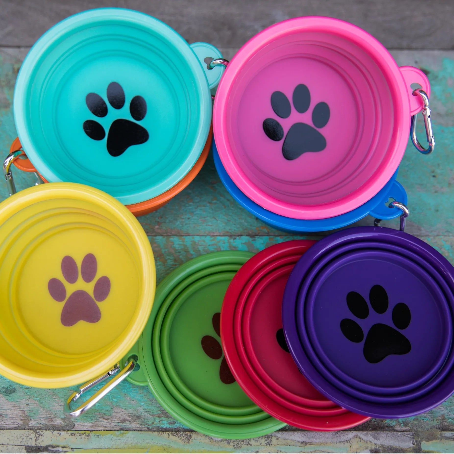 portable dog bowl