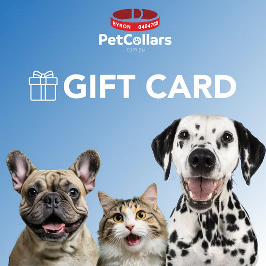 pet collars gift card