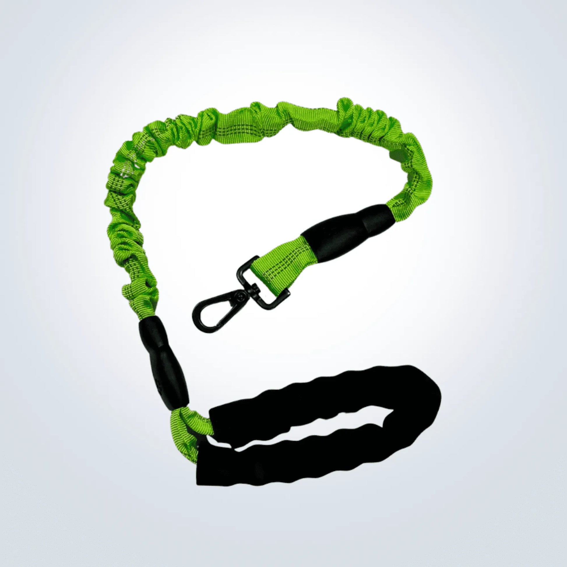 pet bungee lead