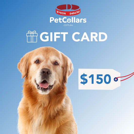 pet collars gift card