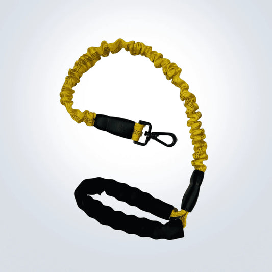 dog bungee lead