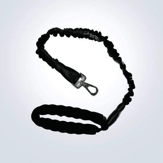 bungee lead for for dogs