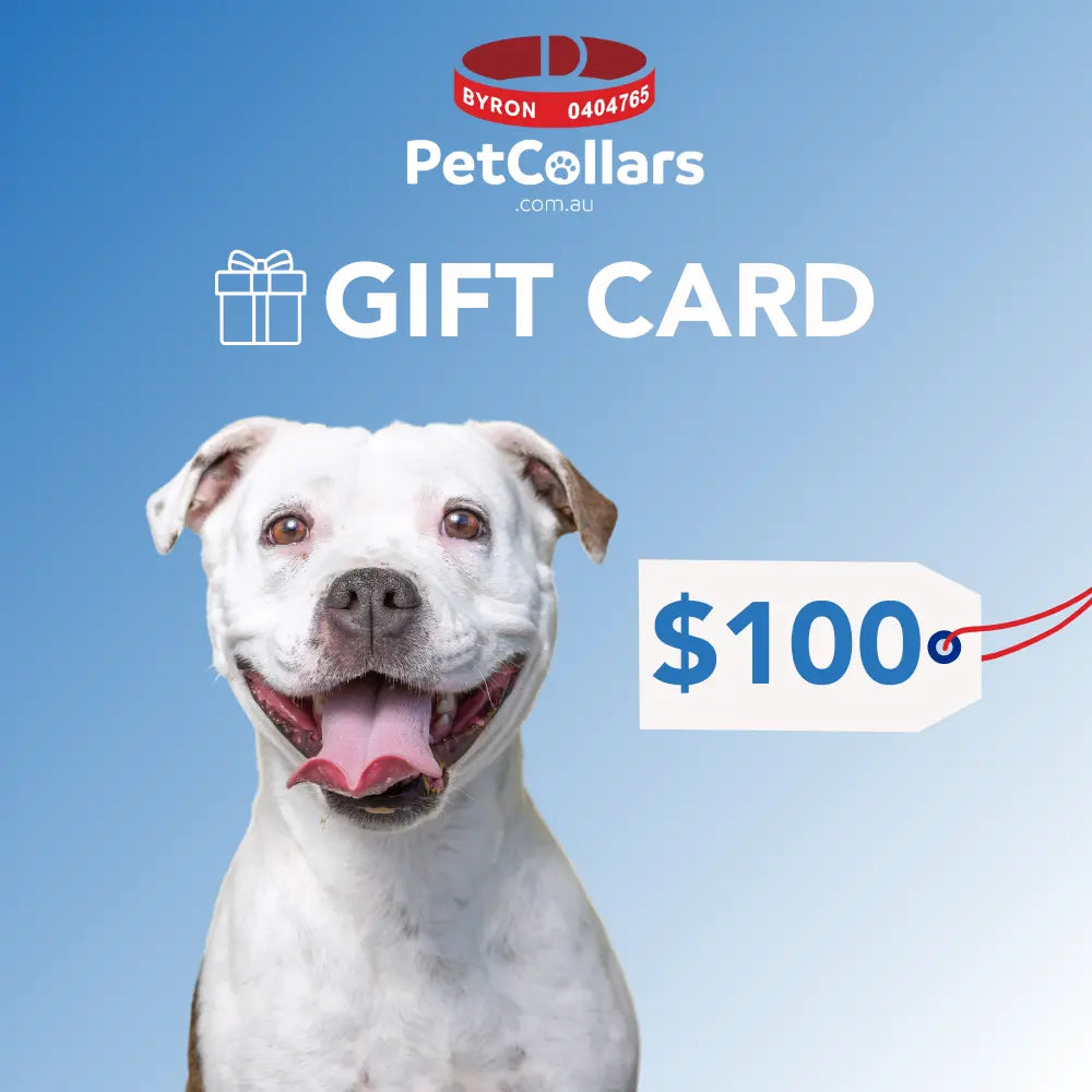 pet collars gift card