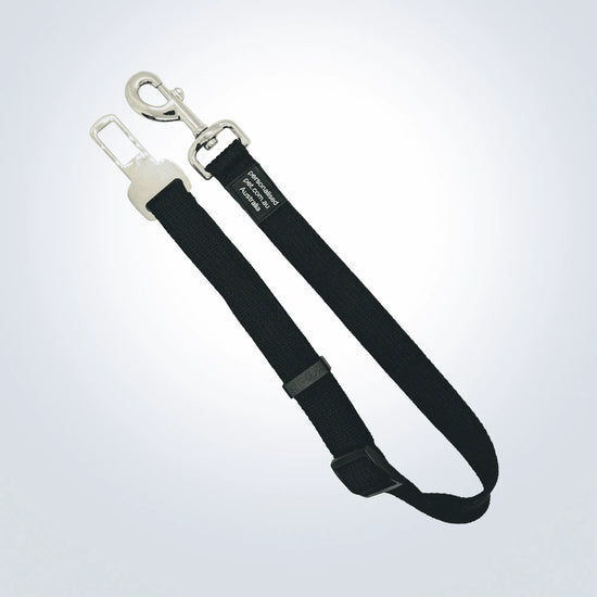 pet seatbelt clip