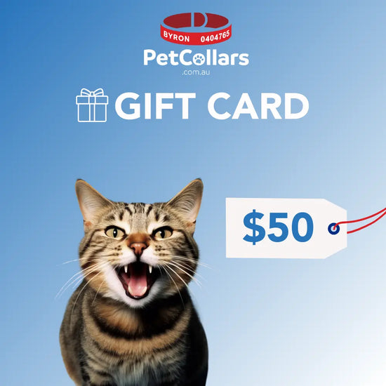 pet collars gift card