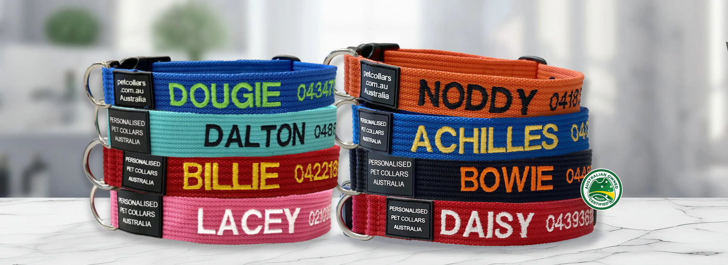 Custom pet collars australia hotsell