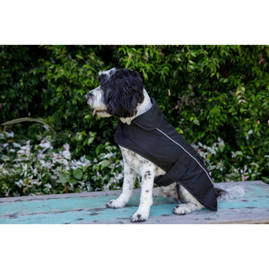 personalised dog coat