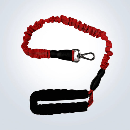 pet bungee lead