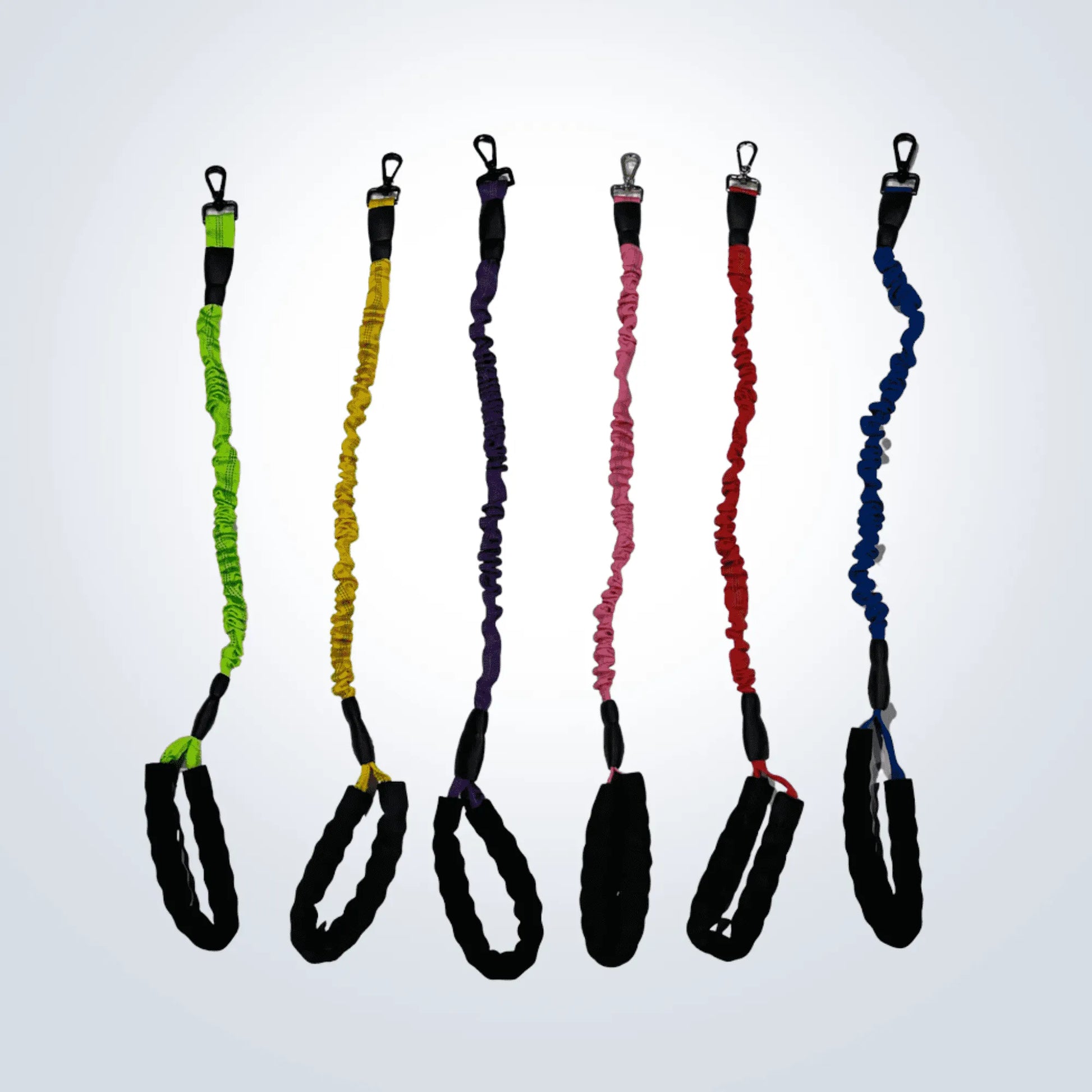 bungee lead for dogs