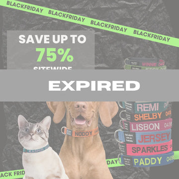This Week’s Deal: Save up to 75% Storewide