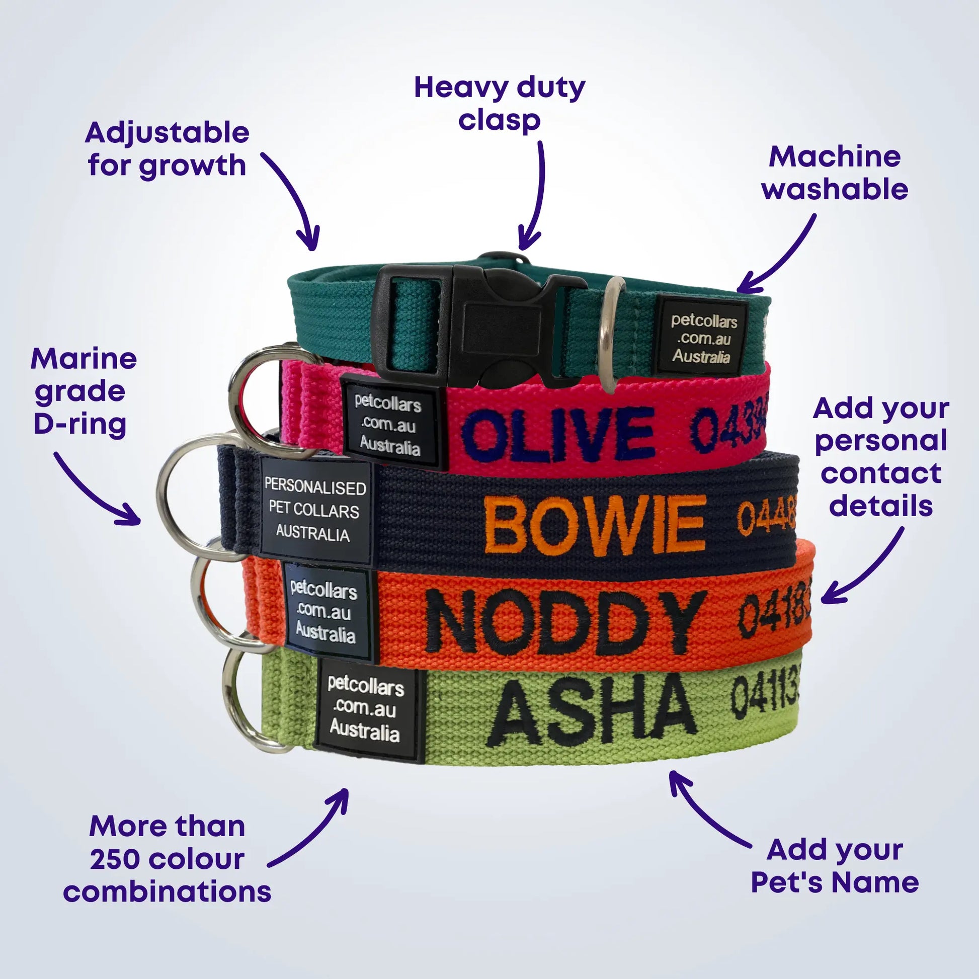 personalised pet collar