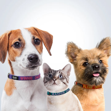 Made for the Littlest Pets