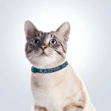 Load image into Gallery viewer, personalised cat collar