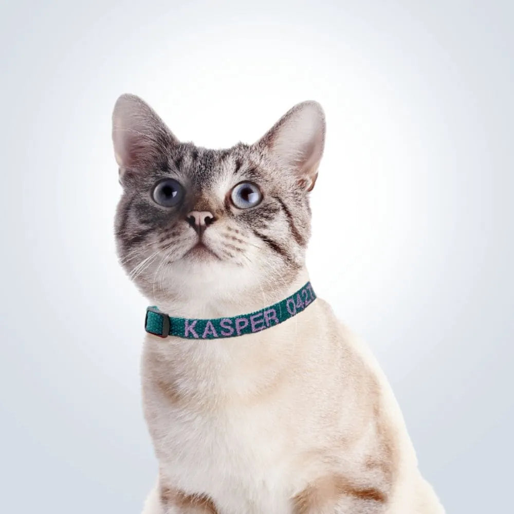personalised cat collar