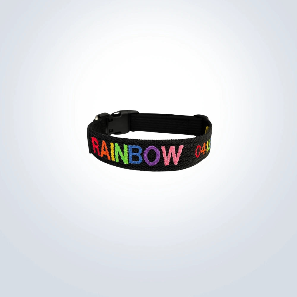 rainbow embroidered pet collar