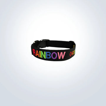rainbow embroidered pet collar