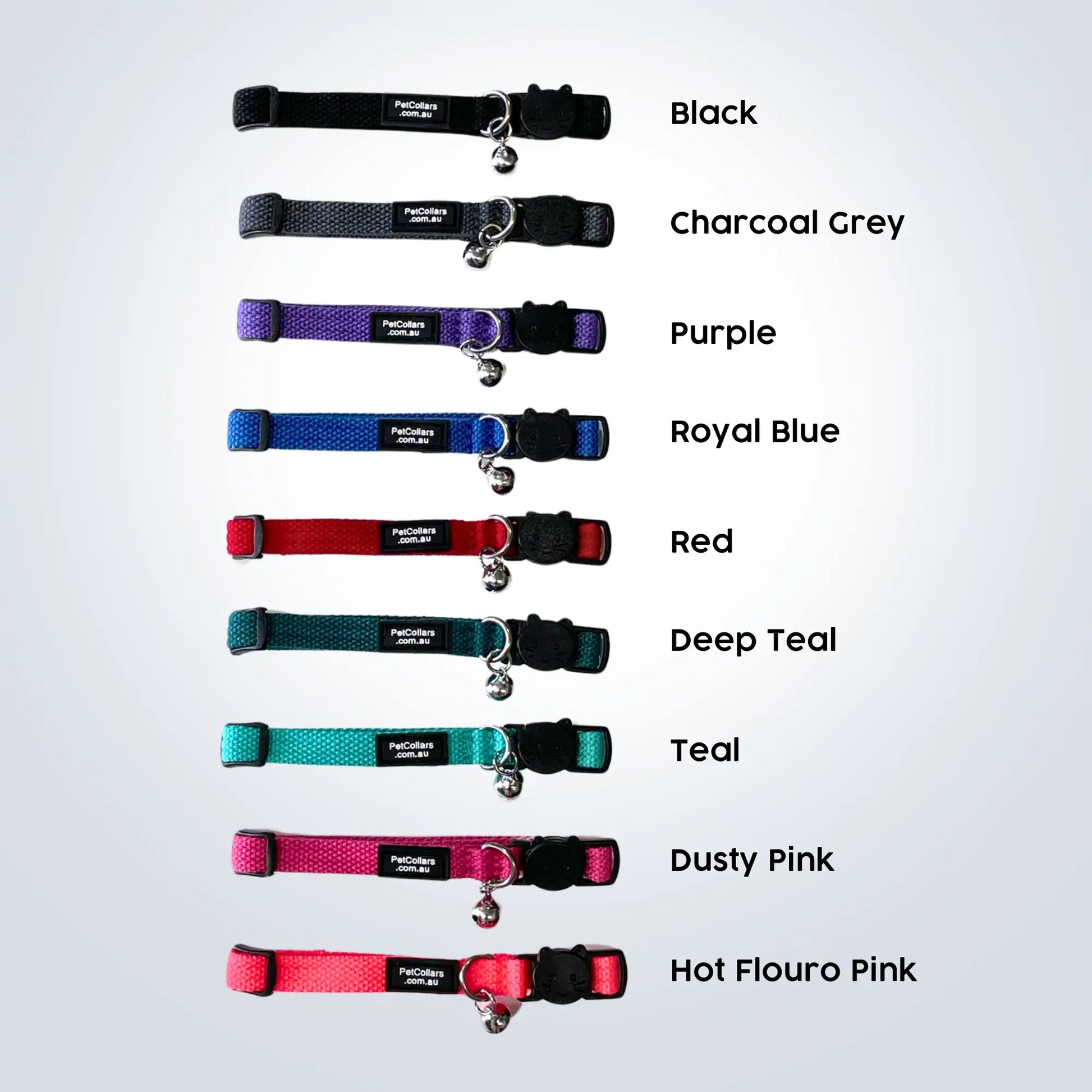 personalised pet collars