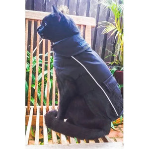 personalised cat coat