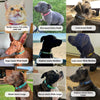 custom pet collars