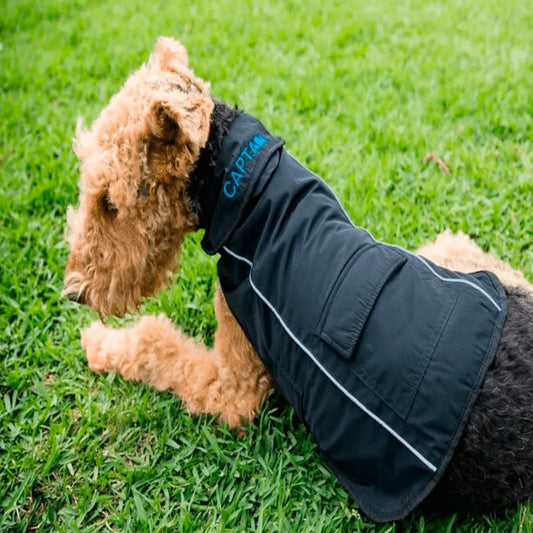 personalised dog coat