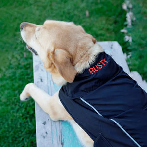 personalised dog coat