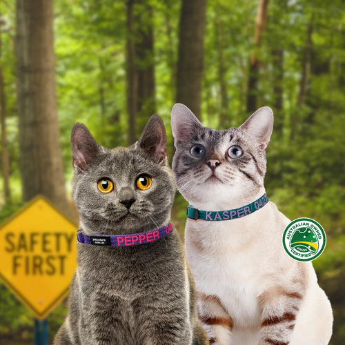 Two cats wearing personalised collars with a 'Safety First' sign and forest background