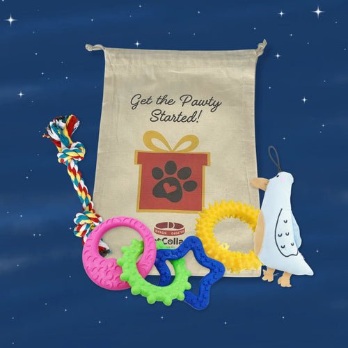 Dog toy set with a bag labeled 'Get the Pawty Started!' on a starry night background.