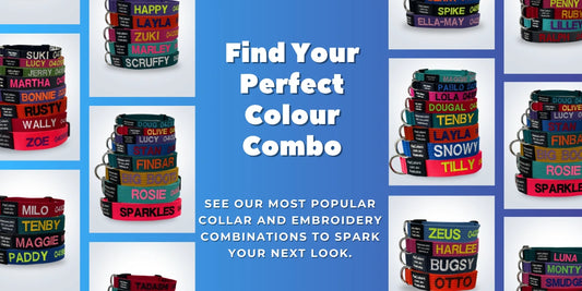Collar and embroidery combinations with names on a blue background
