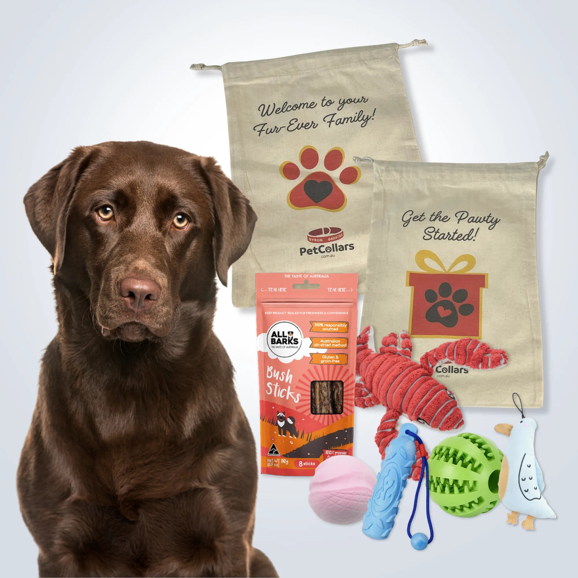 Deluxe Gift Set for Large Dogs with treats, toys and gift bag
