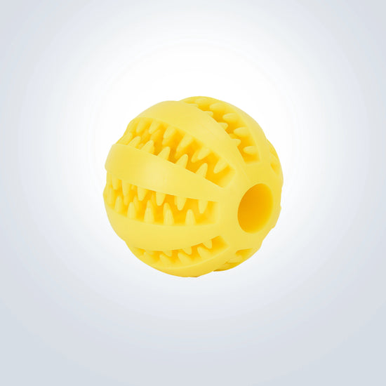 ball feeder for dogs