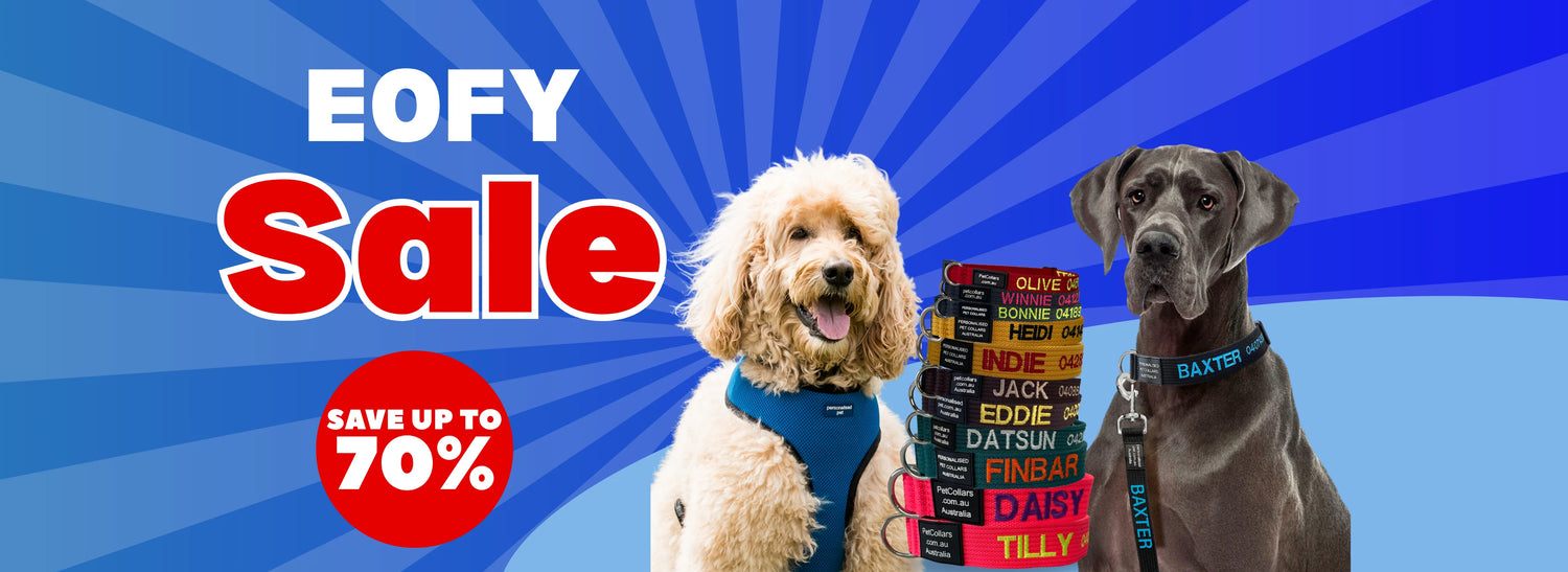 PetCollars.com.au