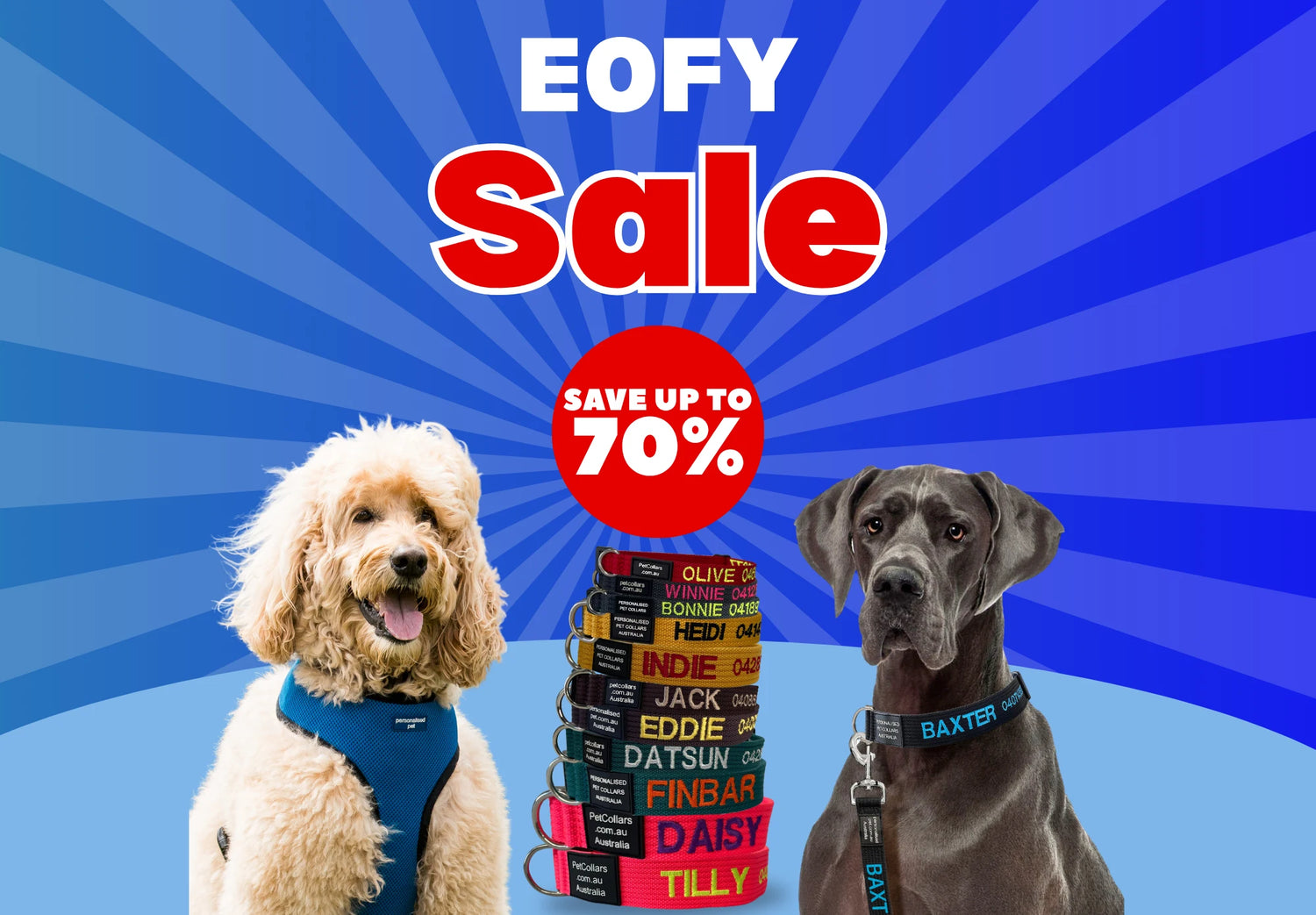 PetCollars.com.au
