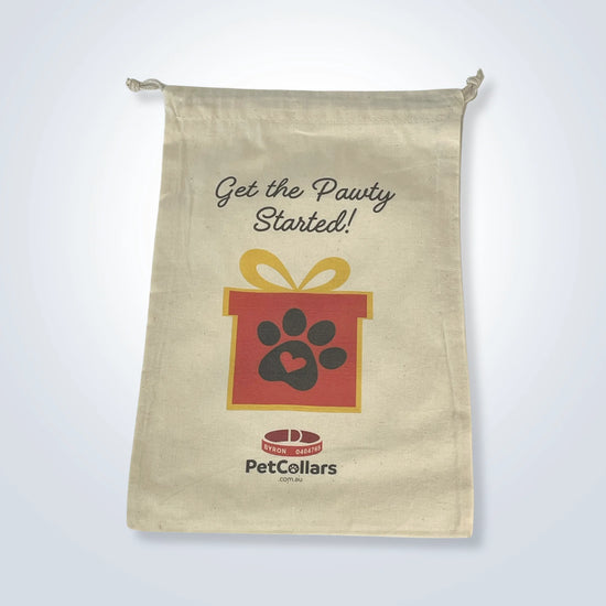 birthday gift bag