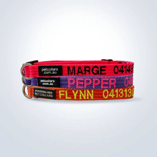 pet collar with name