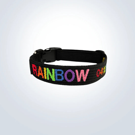 rainbow embroidered pet collar