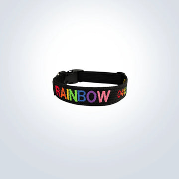 rainbow embroidered pet collar