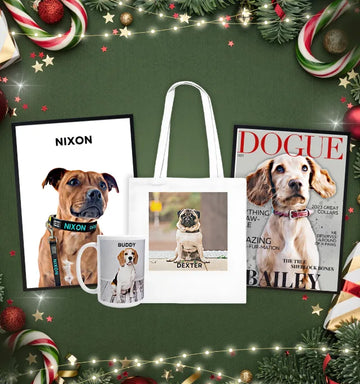 Gifts for Pet Parents