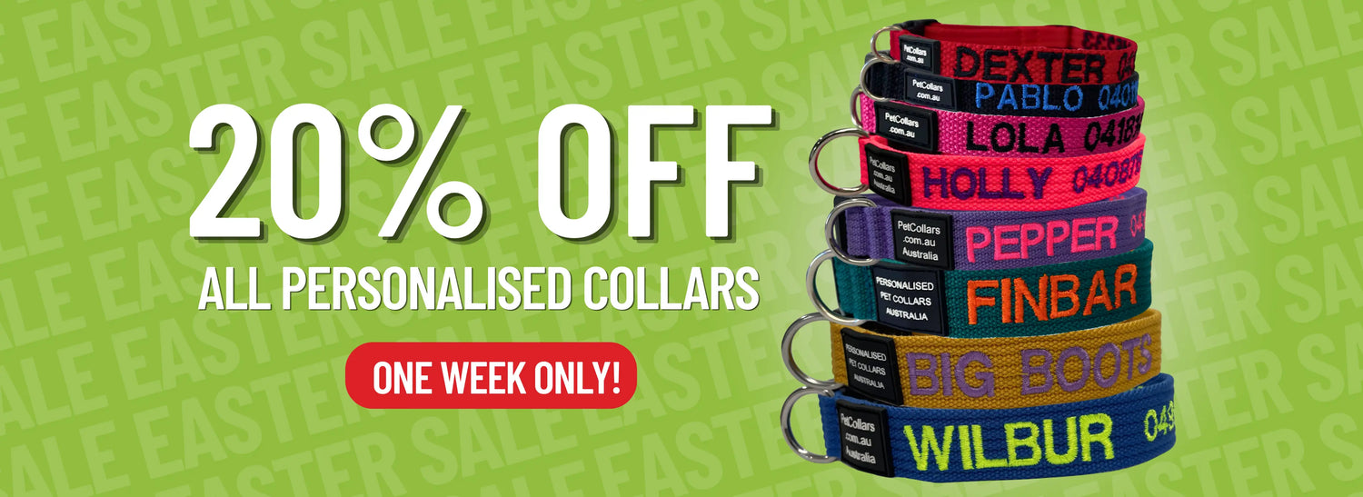 PetCollars.com.au