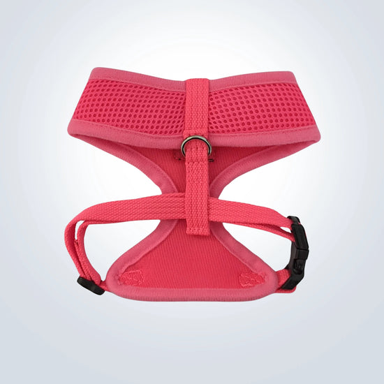 personalised pet harness Hot Flouro Pink - Embroidered