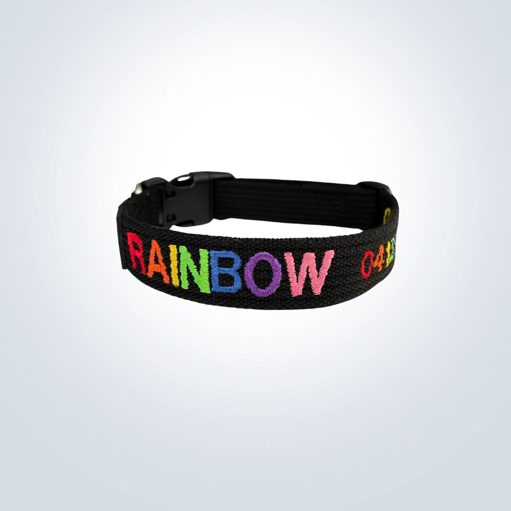 rainbow embroidered pet collar