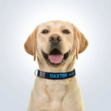 Load image into Gallery viewer, personalised pet collar