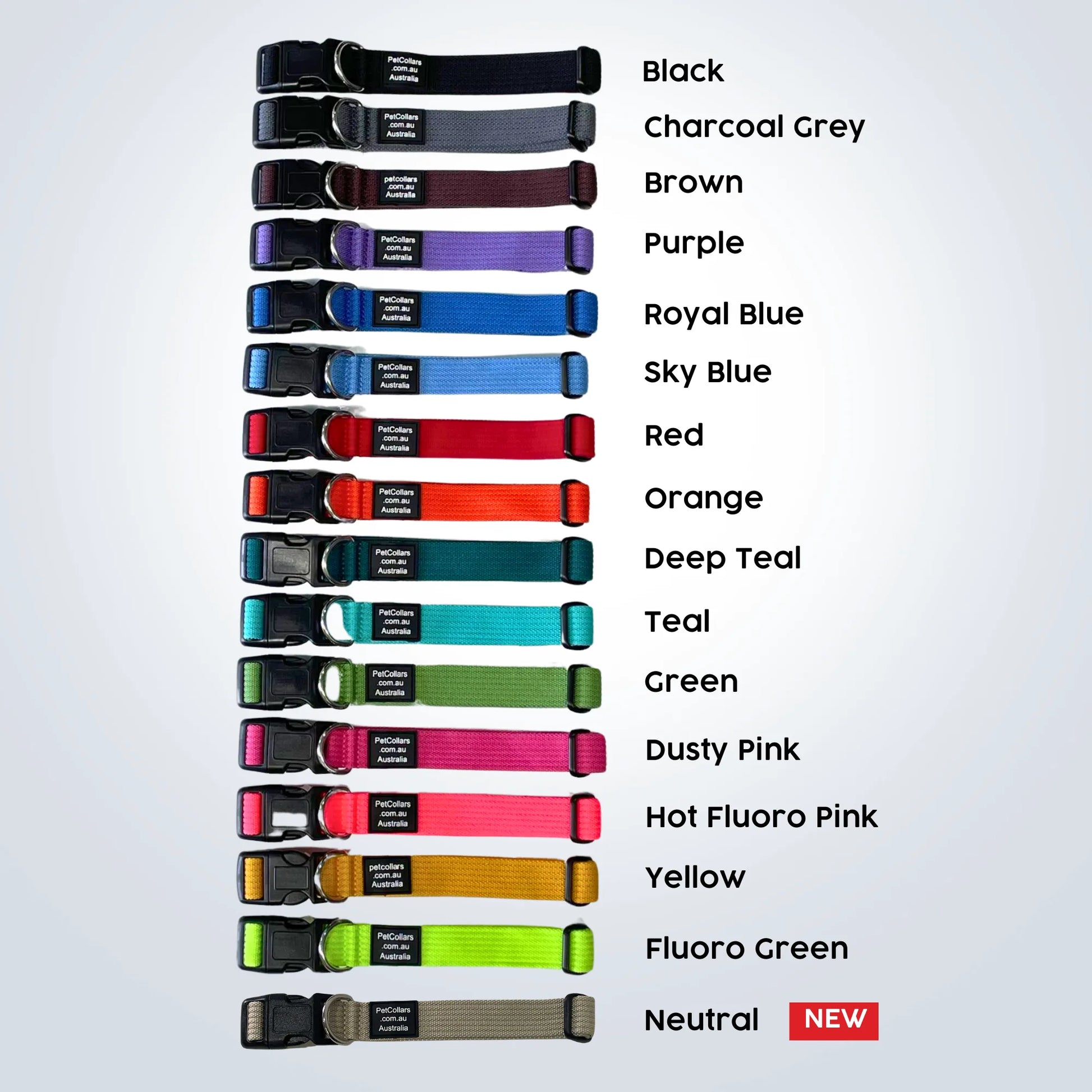 personalised pet collars