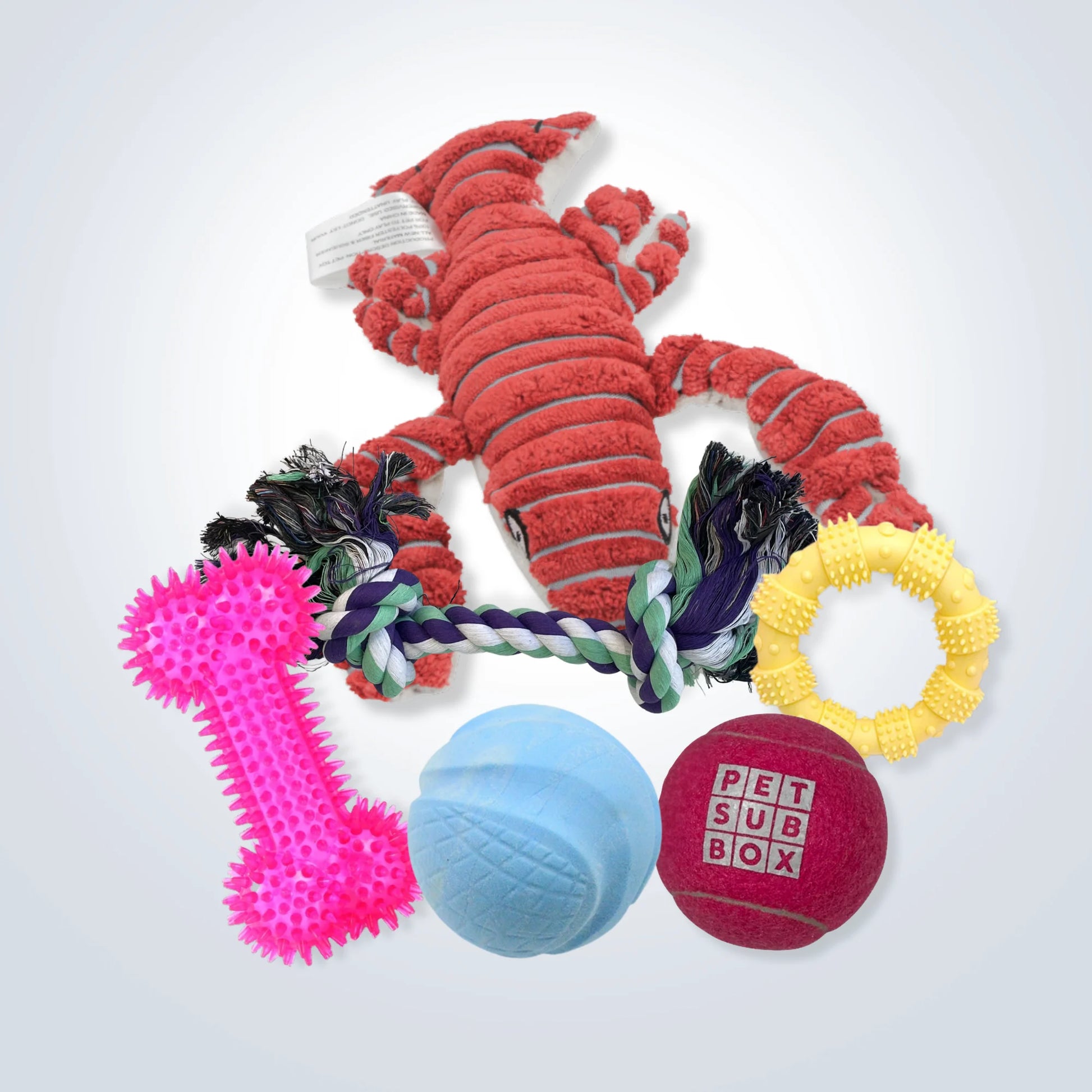 Large Dogs Toy Bargain Bundle