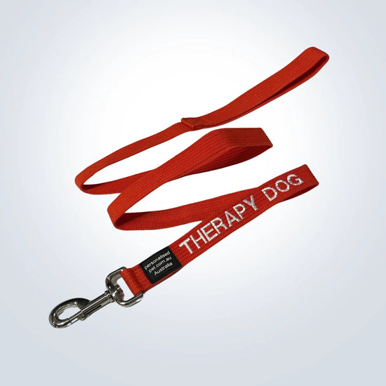 personalised pet lead