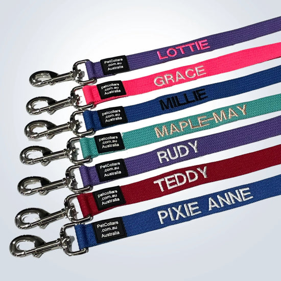 custom pet lead