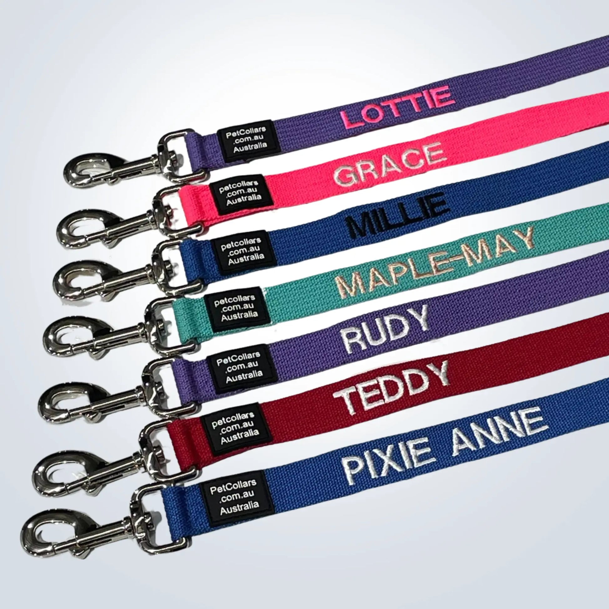 custom pet lead